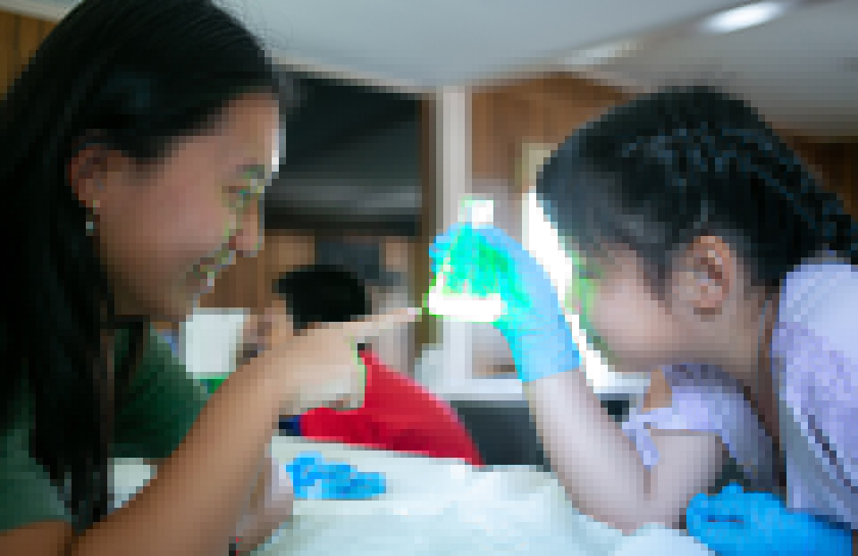 Society for Science awards $295,000 to 61 organizations bringing STEM to communities across the nation