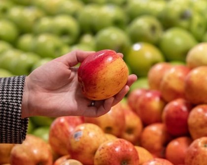 ‘Pesticide cocktails’ polluting apples across Europe, study finds