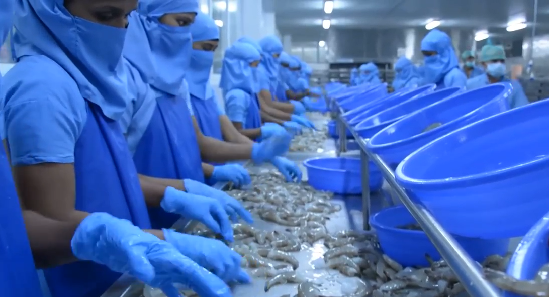 Indian shrimp exporters welcome EU deal yet warn non-tariff barriers still threaten trade