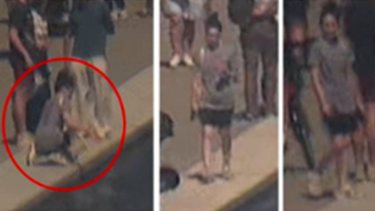 Trump doubles down on reflecting pool vandalism allegations, cites new witness account