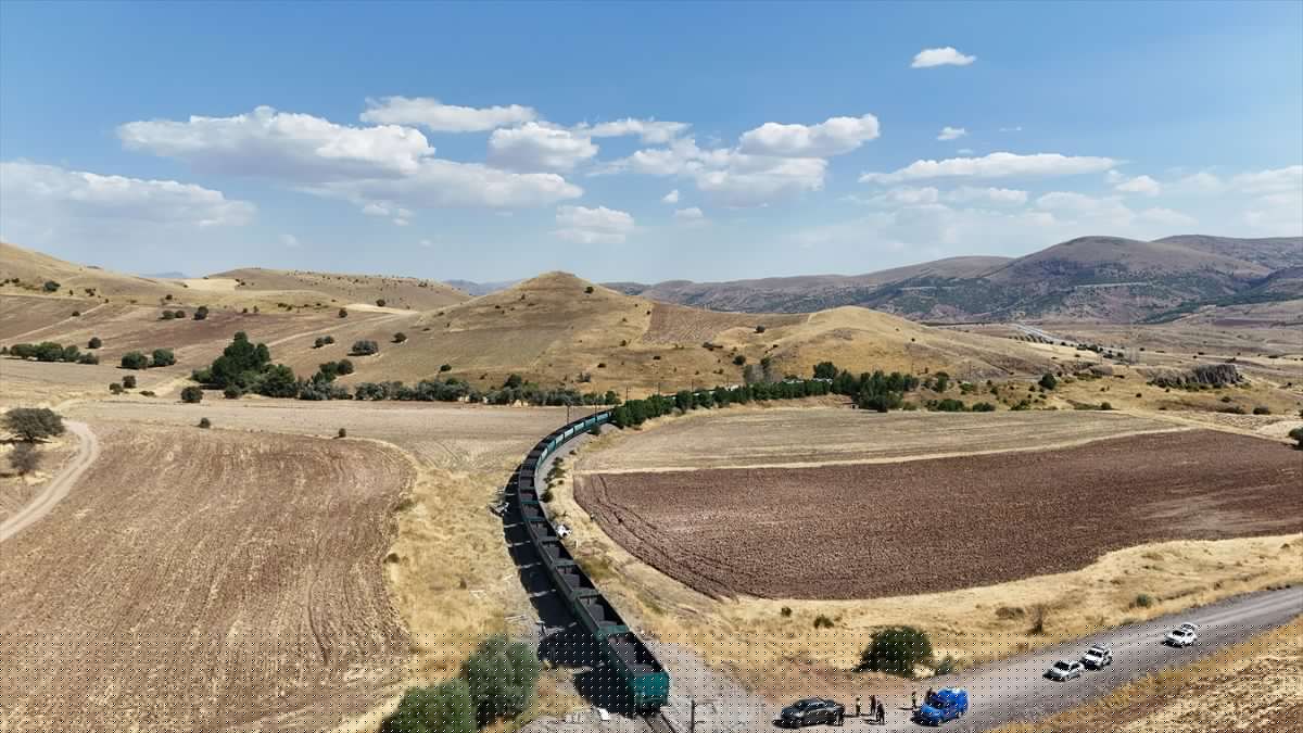 Hekimhan'da Yük Treni Kamyona Çarptı: 1 Yaralı