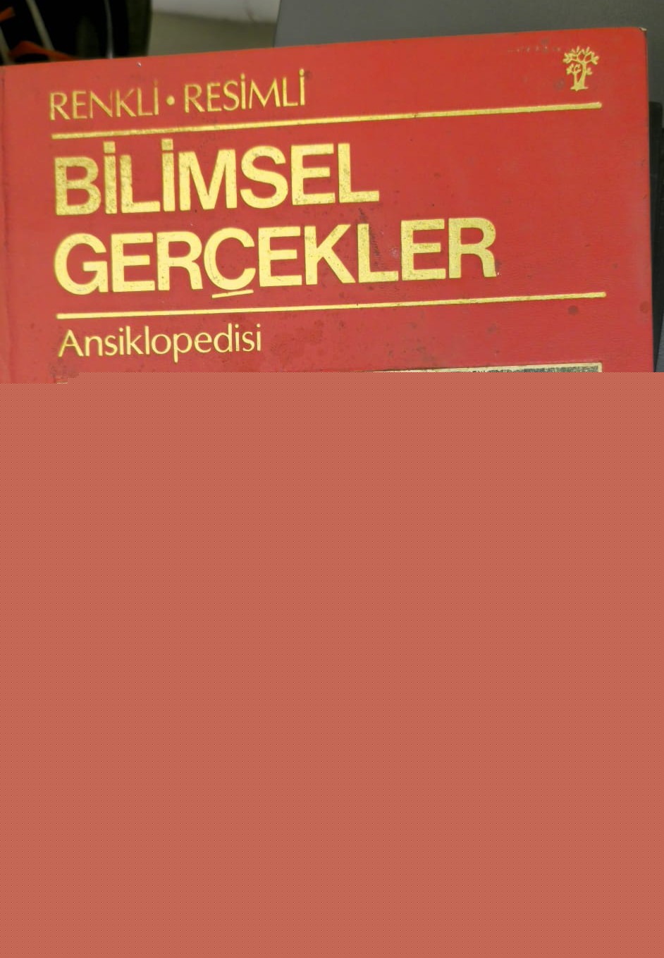 After a Long While, Unboxing Continues: Childhood Encyclopedias, Edward Said, and Tanpınar