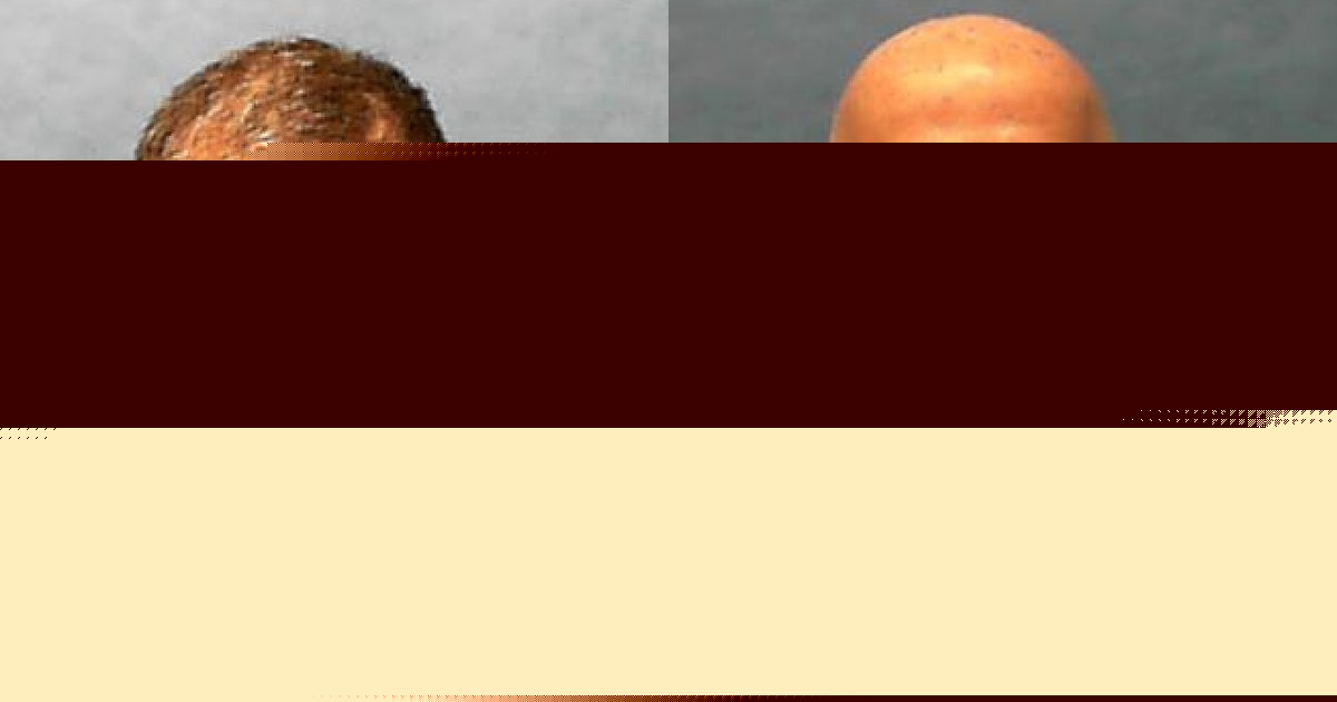 Florida set to execute 2 death row inmates within hours of each other on Tuesday