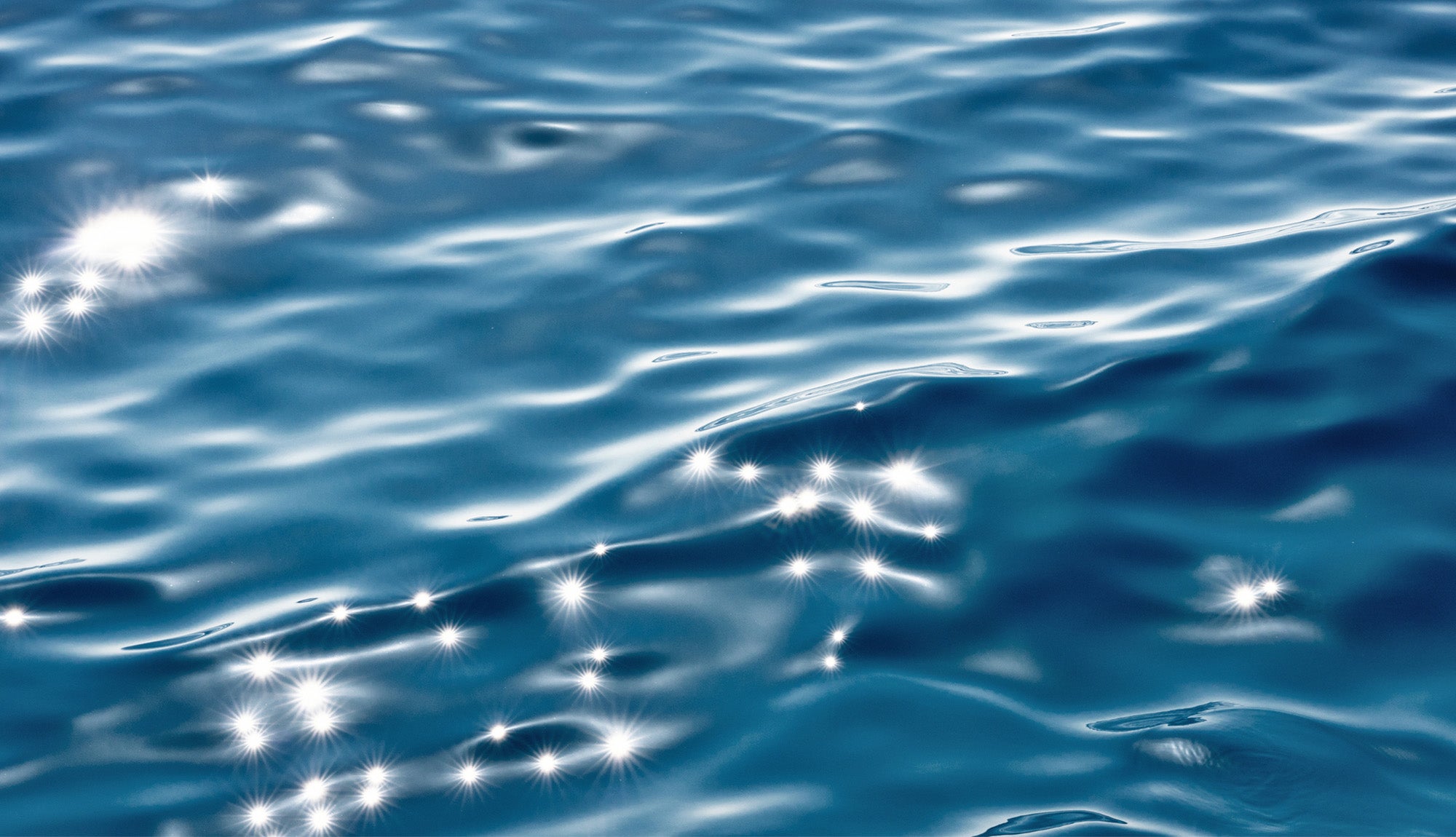 One of Earth’s most abundant organisms is surprisingly fragile