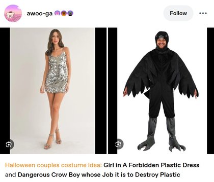 Dangerous Crow Boy - Dangerous Crow Boy Halloween Costume Idea
