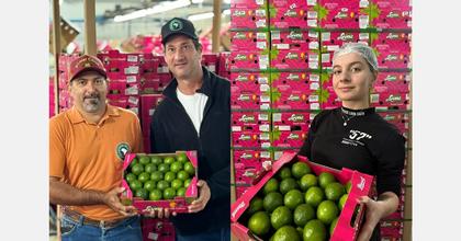 Brazilian limes bolstered by shortages in Spain and rising prices
