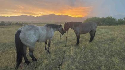 Your Wyoming Sunrise: Tuesday, September 23, 2025