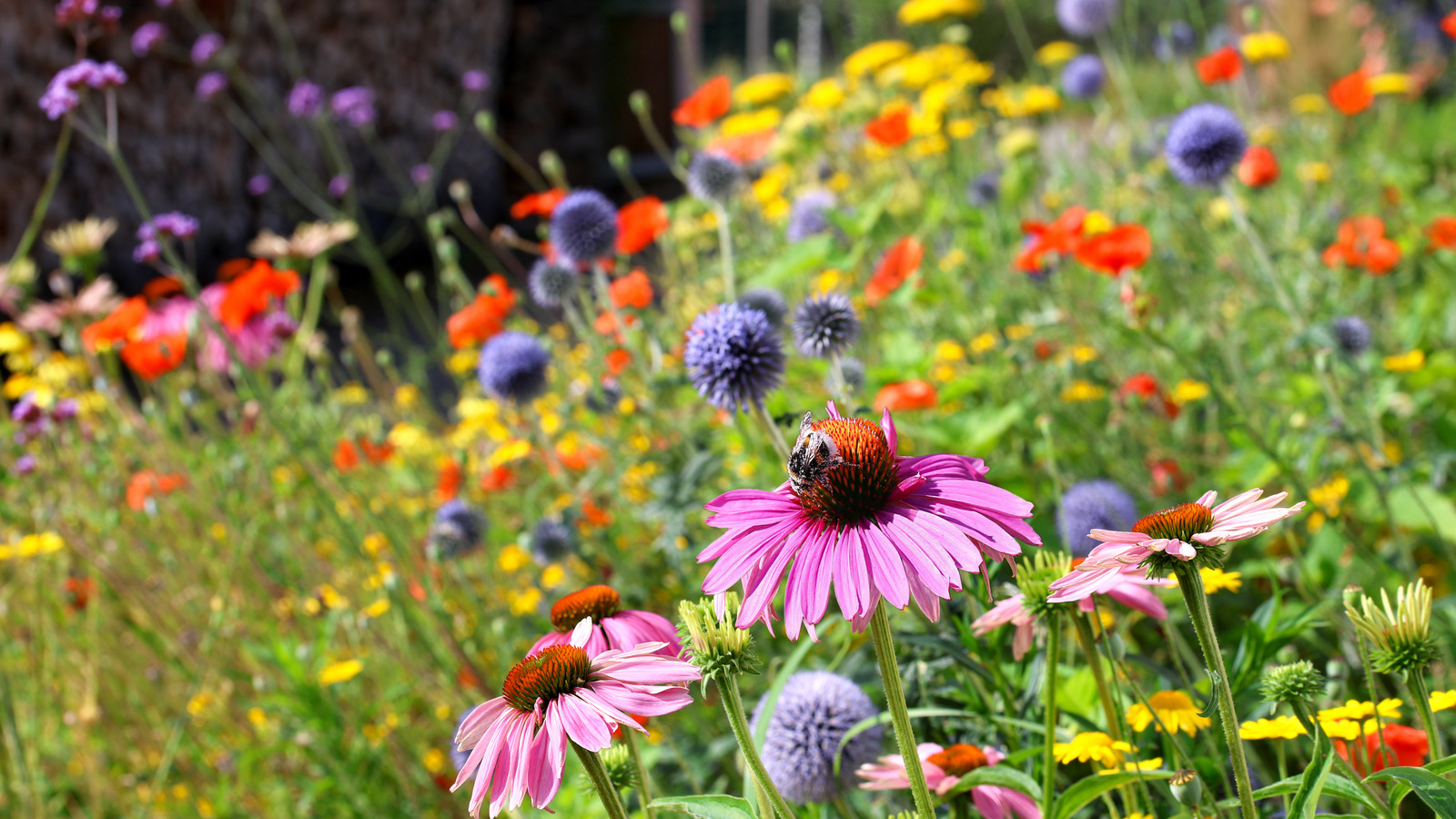 The Flower Color You Might Want To Avoid If You're Trying To Attract Bees