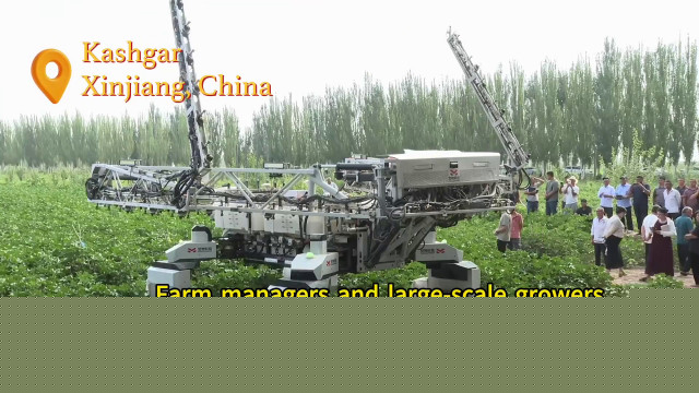 Cina, un robot tra i campi di cotone mostra l’agricoltura smart dello Xinjiang