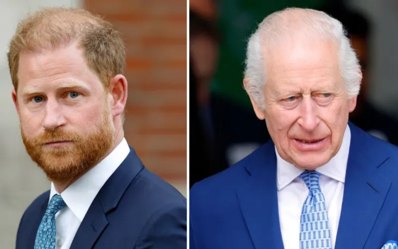 Prince Harry, King Charles make no further contact after reunion