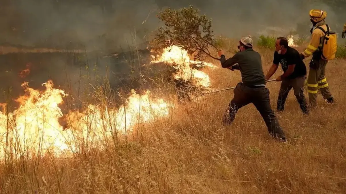 Spain’s Wildfire Crisis Continues as National Emergency Ends in Madrid
