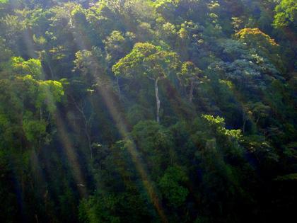 Comment on Costa Rica Society: Trickle-Down Corruption by sheldon haseltine