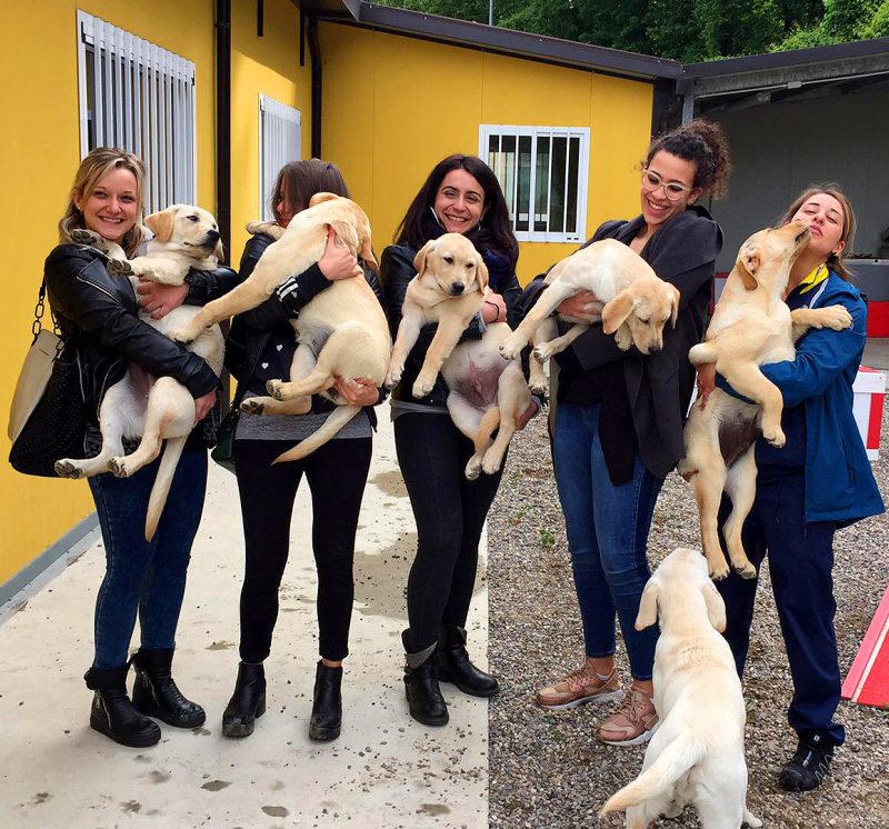 Al via in Sicilia il progetto "Cani guida dei Lions"
