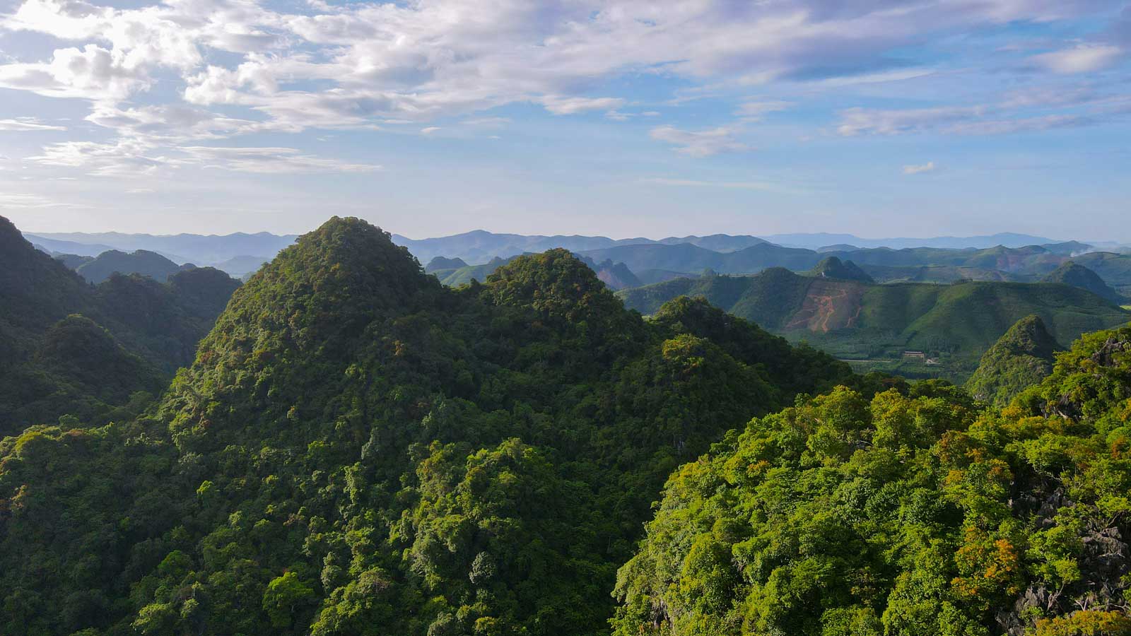The flaws of carbon credits designed to protect forests – and how to fix them