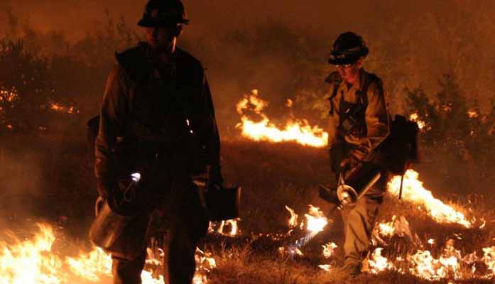 Sara Sutherland: Environmental Reviews May Be Worsening The Wildfire Crisis