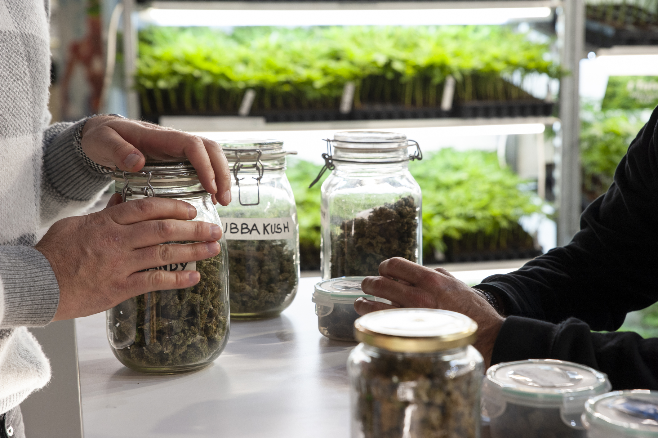Now & Then: Cannabis Shops, Hurricanes and More Hamptons Stories