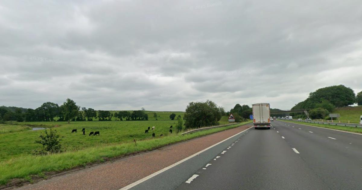 Woman seen cycling along the M6 had been discharged from hospital, court hears