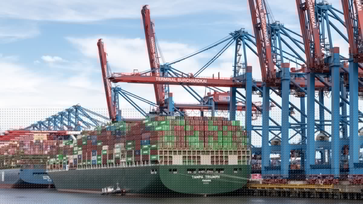 Australia’s exports now face a 12.5% US tariff over forced labour claims