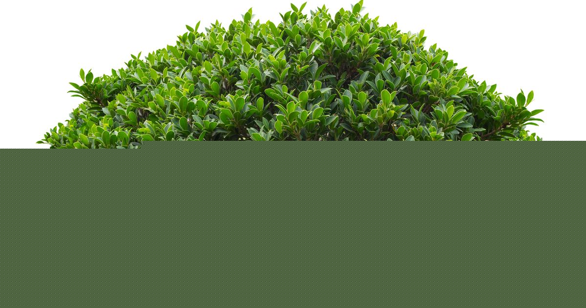 A New Jersey Officer Dressed As A Bush Issues 74 Distracted Driving Tickets In Six Hours