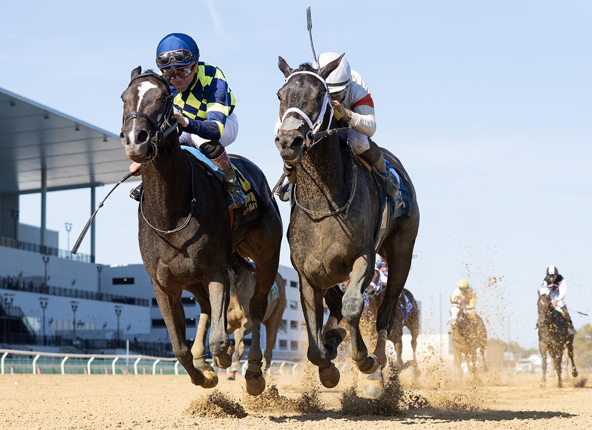 An Authentic Grade I Winner: NY-Bred Iron Orchard Proves Best In Frizette