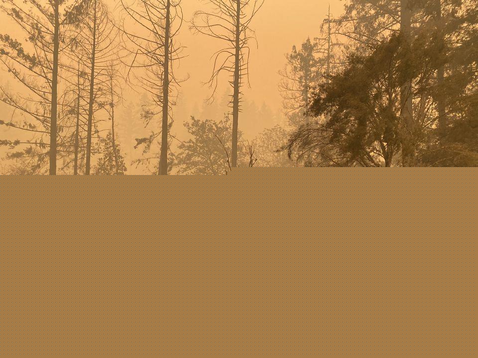Sen. Wyden’s wildfire tax relief bill passes just before Congress recesses, goes to White House