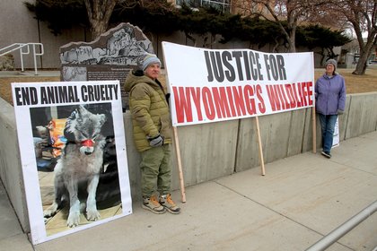 Comment on Judge suggests wolf captor Cody Roberts’ felony case will proceed to trial by Kelli Keenan