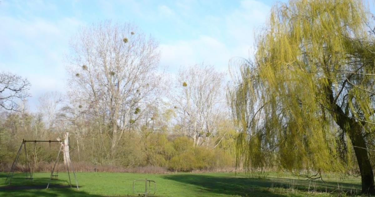 New children's play park to be unveiled at popular town meadow