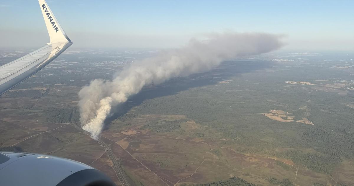 PICTURES - 'Huge cloud of smoke' as vehicle fire closes A31
