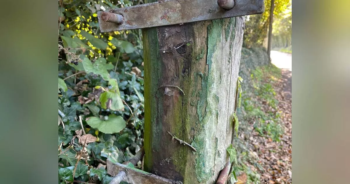 'People have no respect' - Thieves steal historic postbox still used by Cork community