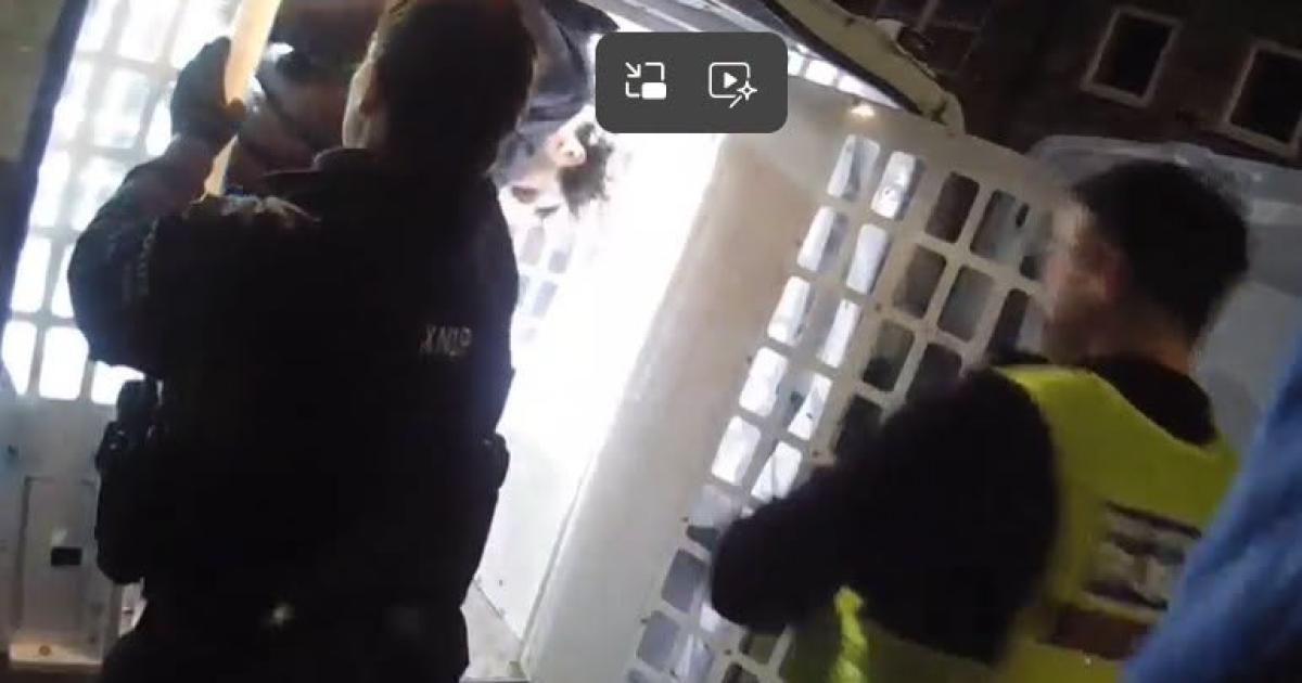 Armed police searched for York knifeman behind 'horrific' stabbing of tourist