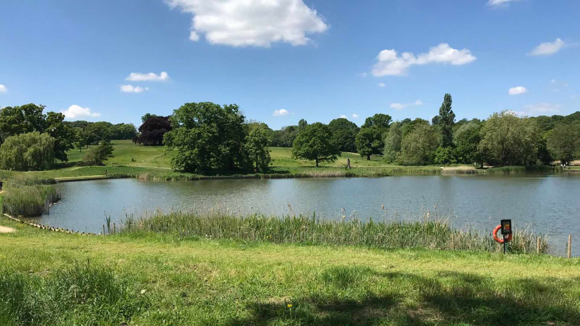 Hampstead ponds remain trans-inclusive for now after judge dismisses legal challenge