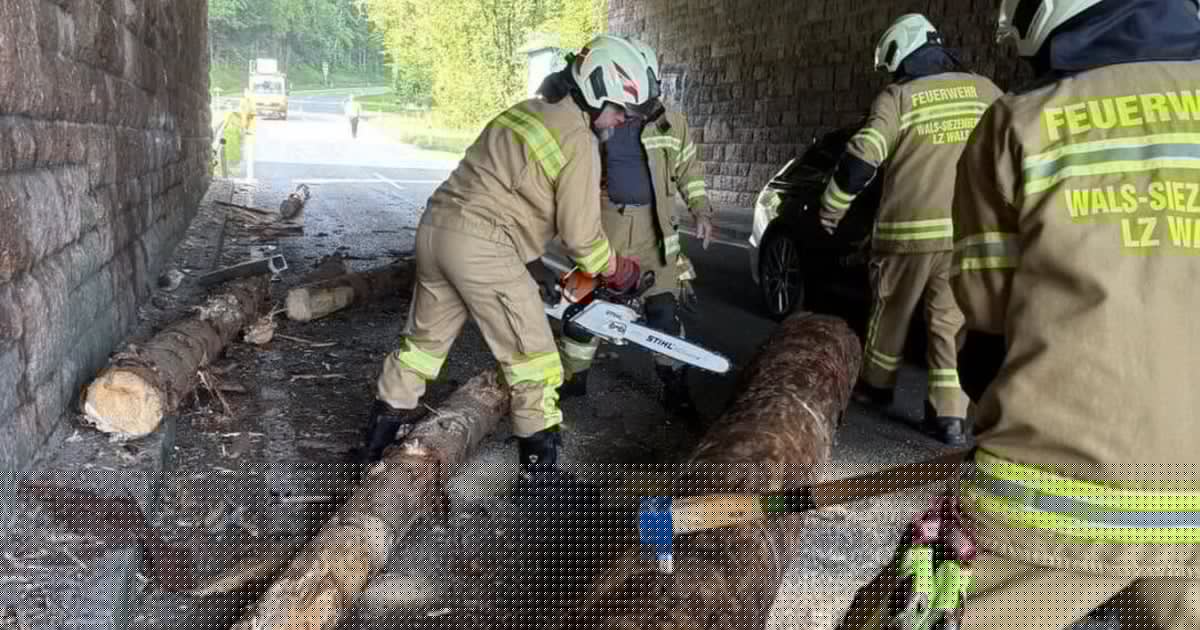Straße gesperrt - Lkw blieb unter Brücke hängen: Baumstämme verloren