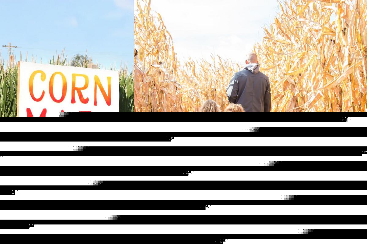 Find Your Way to Fall Fun at Heartland Country Corn Maze