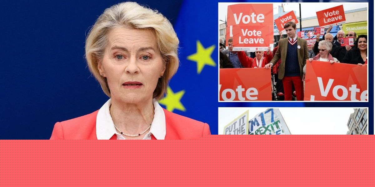 EU claims Brussels 'never intervenes in referendums' after being told to keep nose out of Iceland's 'Brexit-style' vote