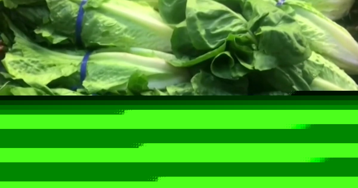 Cyclospora outbreak: FDA declares Taylor Farms lettuce test false positive, but data still supports recall