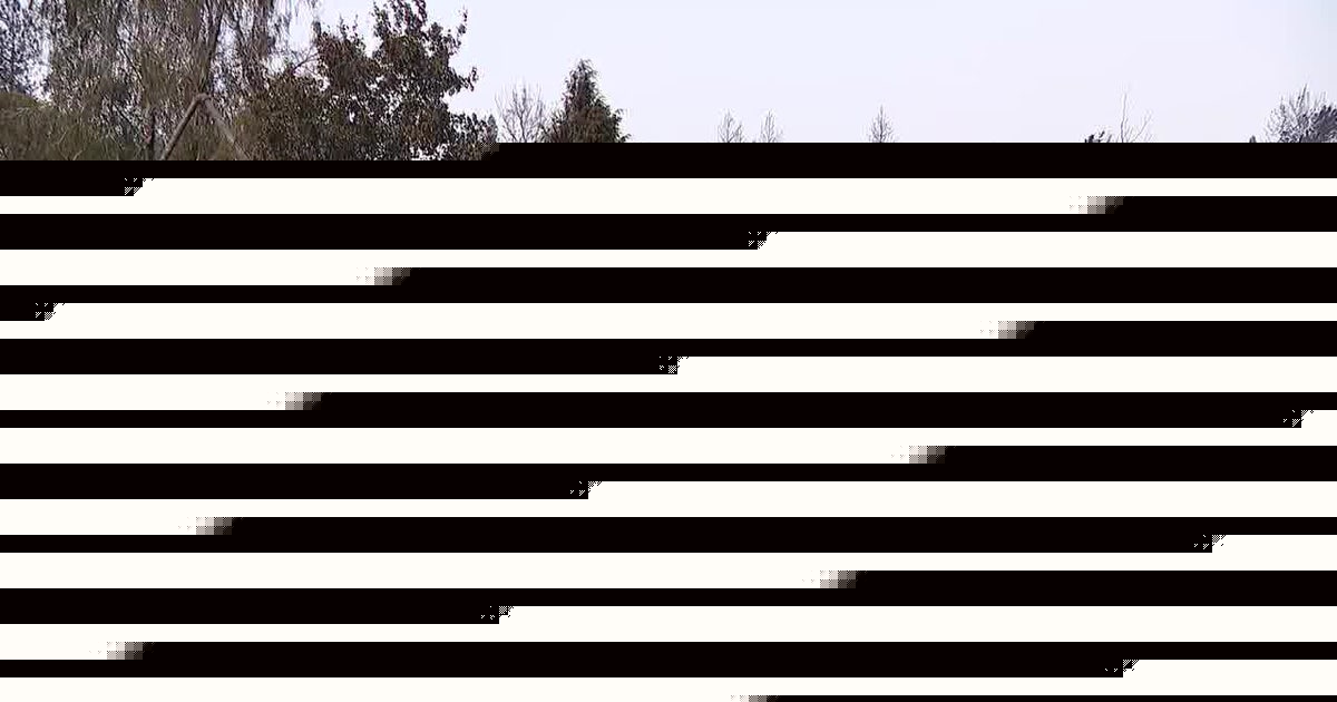 Man arrested for arson in Spokane, WA Old Trails Fire