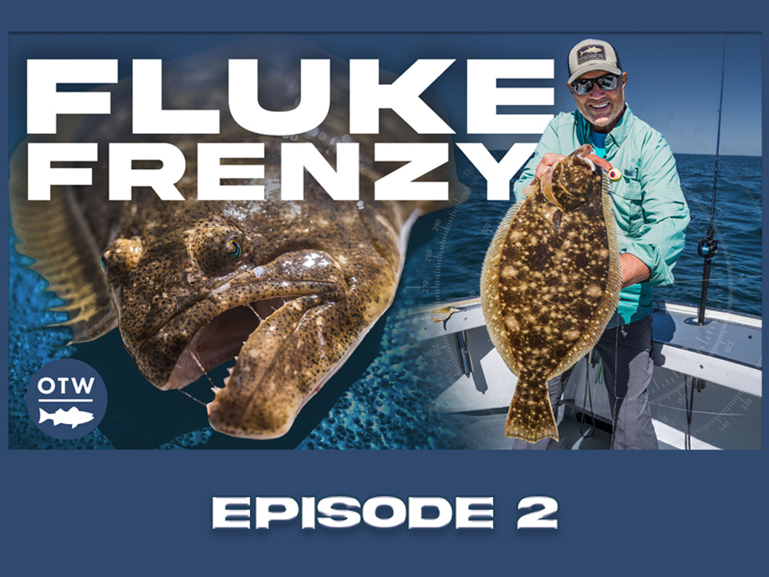 On The Water Angling Adventures Presents: Newport Flukin’ with Mike Littlefield!