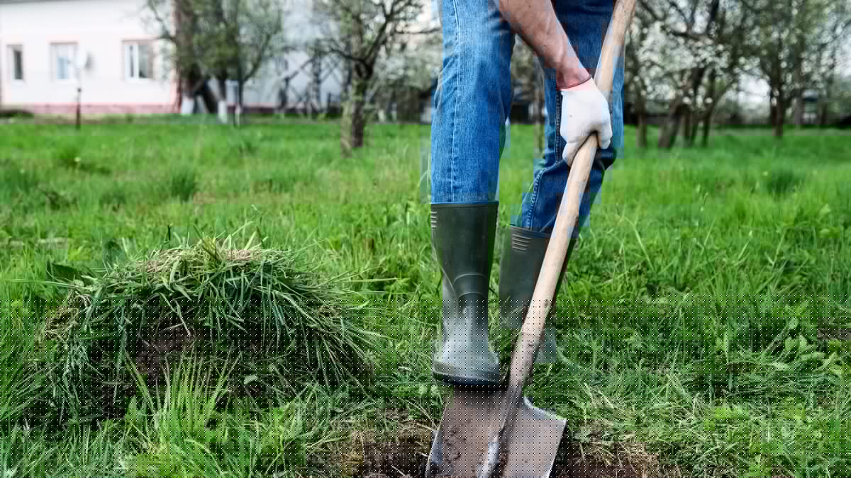 Gov. Pritzker declares August 11th “811 Day” to promote digging safety