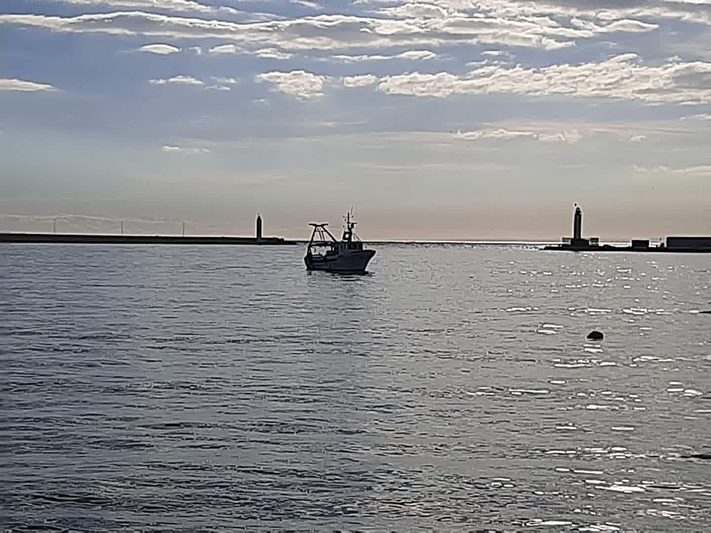 Fermo pesca 2026, stop ai pescherecci a strascico dal 16 agosto al 29 settembre: ordinanza Capitaneria di Manfredonia