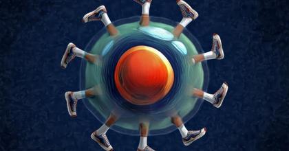 Feet First: Understanding How mRNA Helps Cells ‘Walk’