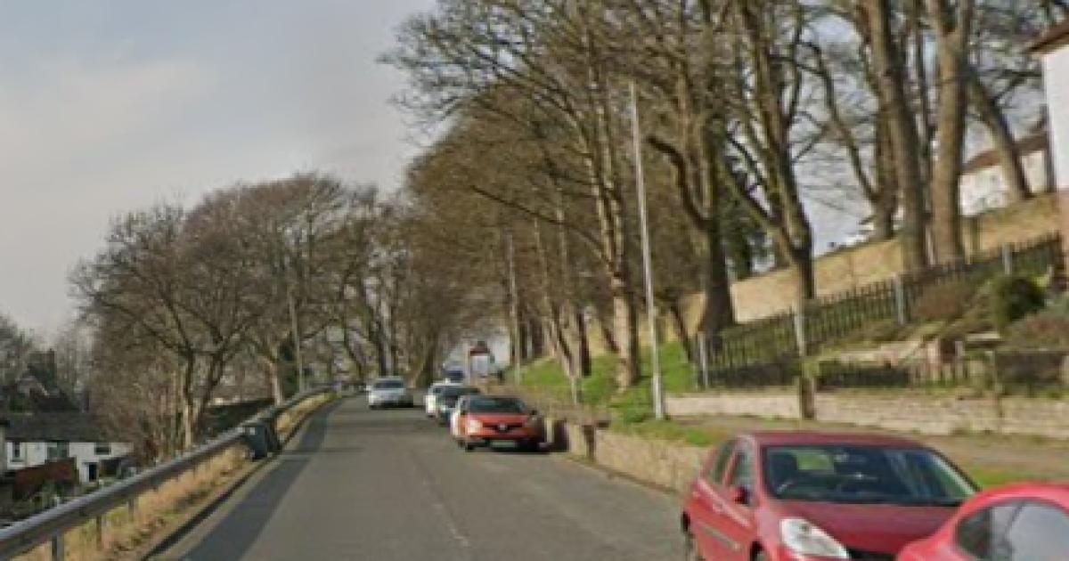 Cannabis farm discovered on residential street in Bradford district as man arrested