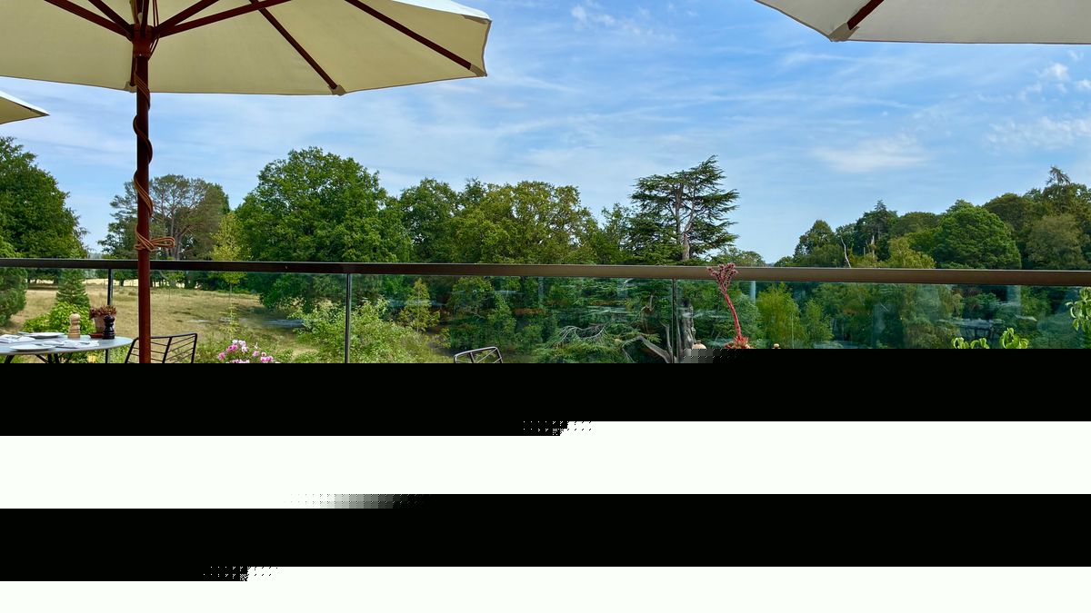 Secluded rooftop restaurant terrace with green Michelin star near Surrey is 'hidden summer gem'