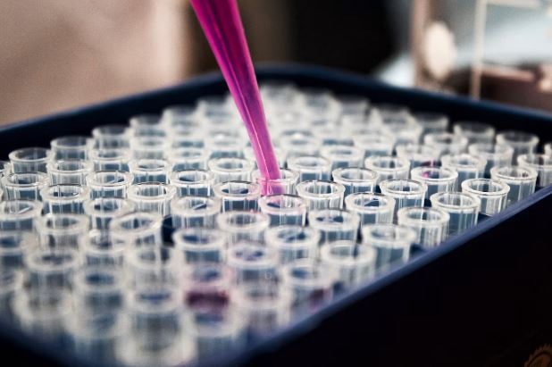 Accelerating Drug Discovery Pathways