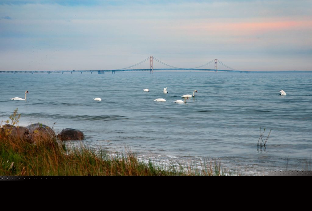 Environmental groups hail Line 5 decision