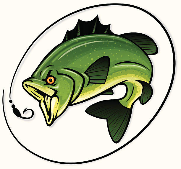 Fishing Reports 1/28/26