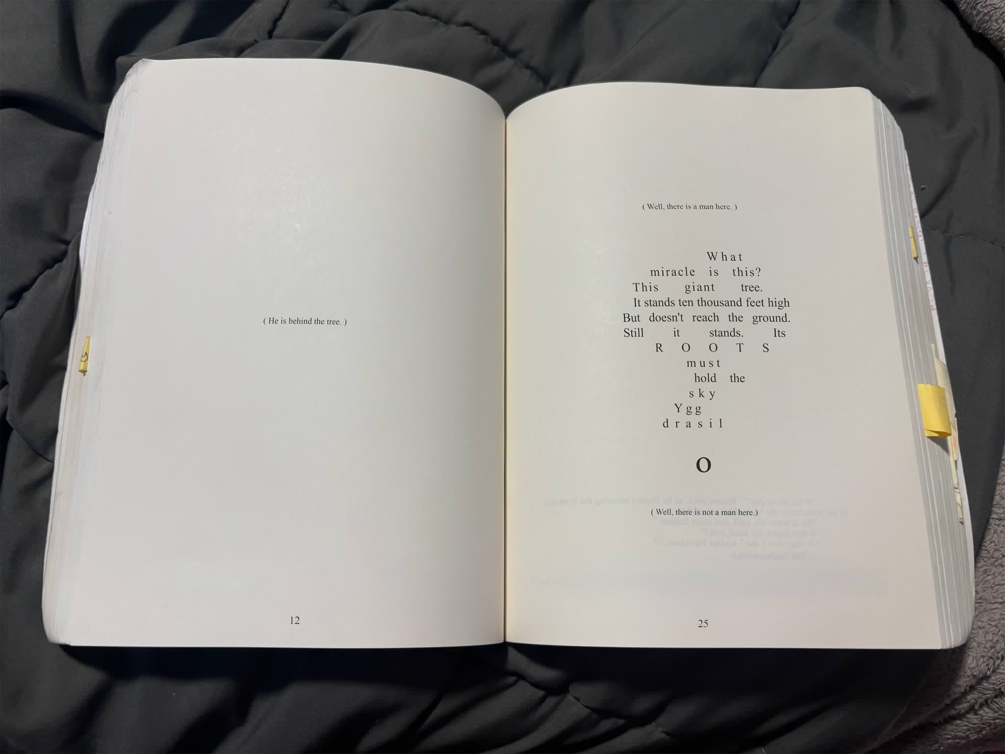 The Forgotten Man / The Man Behind The Tree - did anyone else get this weird page in their copy of house of leaves