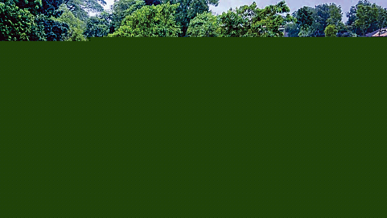 <a href="https://www.thedailystar.net/news/bangladesh/news/flash-floods-hit-northern-eastern-regions-4228786" hreflang="en">Flash floods hit northern, eastern regions</a>
