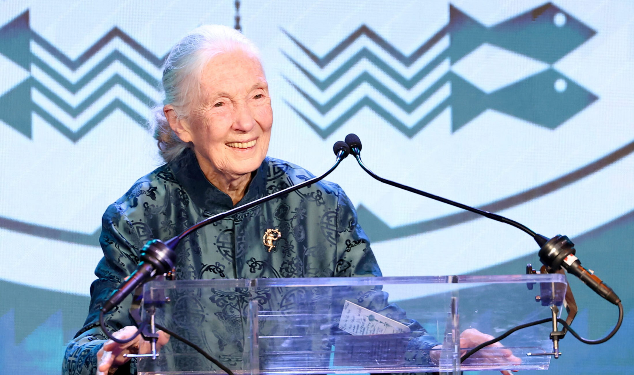 Jane Goodall, Renowned Scientist and Primatologist, Passes Away at 91 on Tour