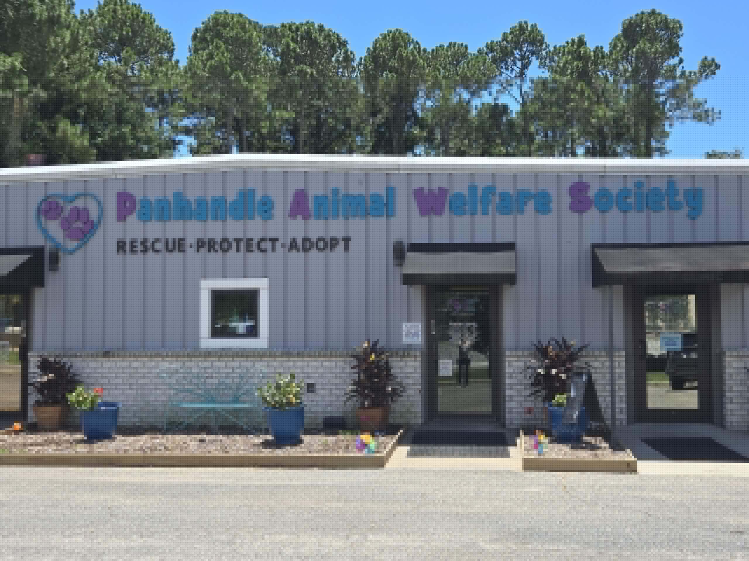 PAWS says county declines renewal at higher cost