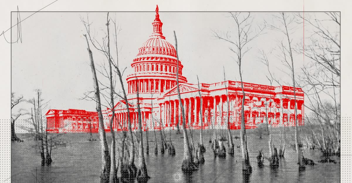 David Graham: Fill the Swamp?